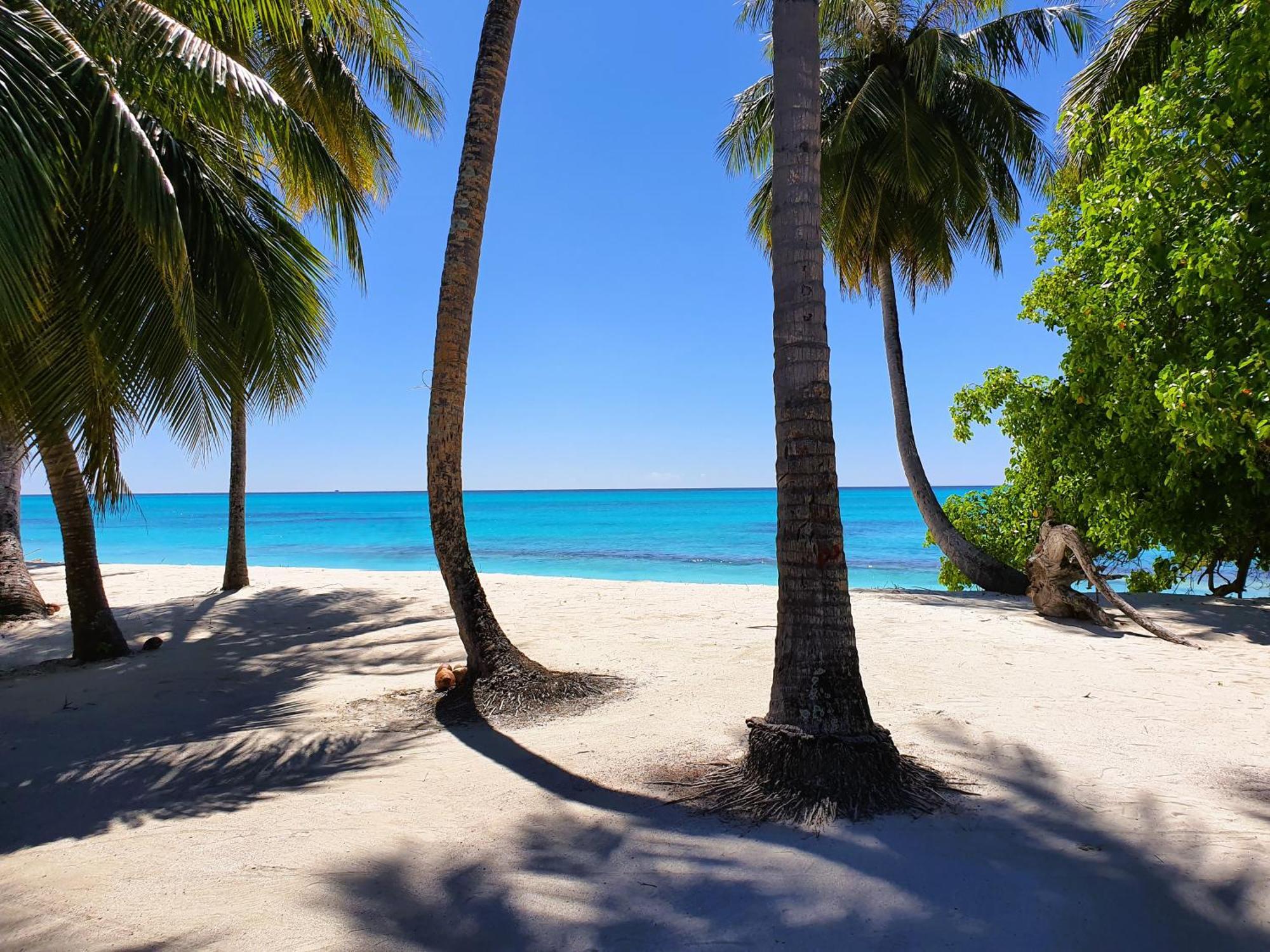 The Fulhadhoo Beach Cottage エクステリア 写真